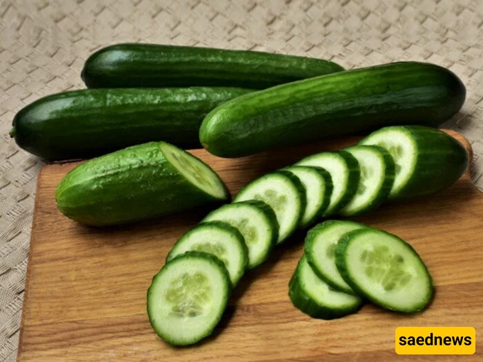 Cucumber 