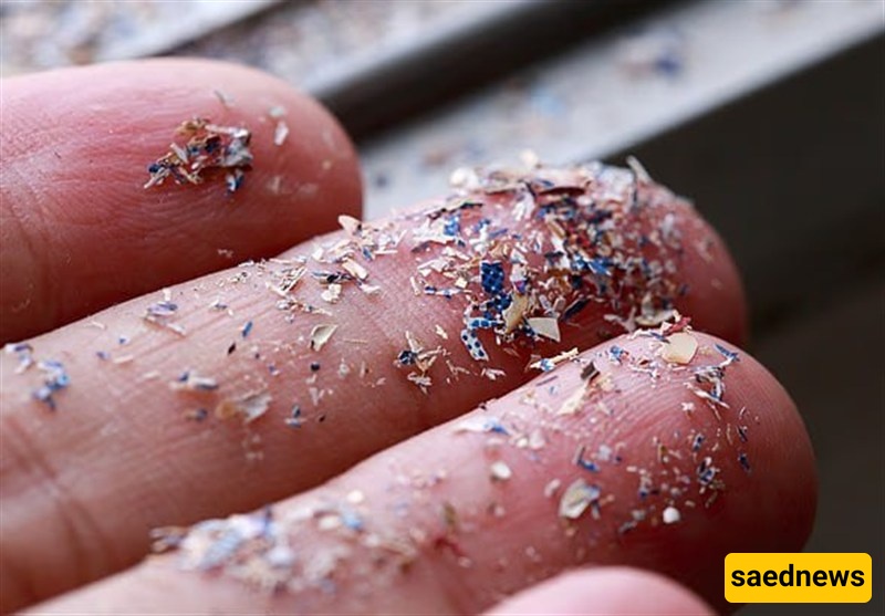 Microplastics May Raise Risk of Bowel Cancer and Depression: New Study Reveals Hidden Dangers