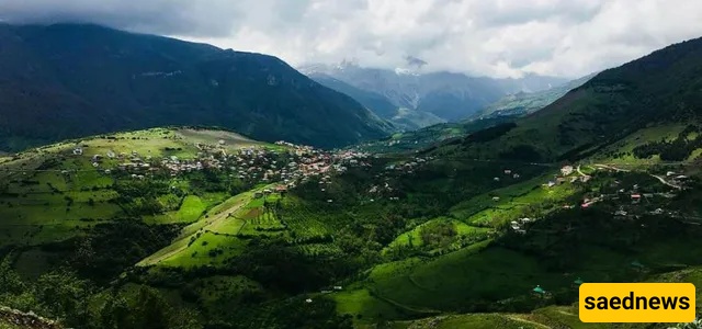dalekhani forest