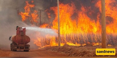 Brazil Investigates Criminal Activity Behind Record Fires in São Paulo