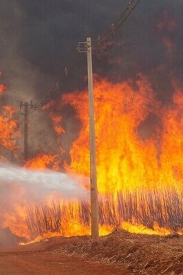 Brazil Investigates Criminal Activity Behind Record Fires in São Paulo