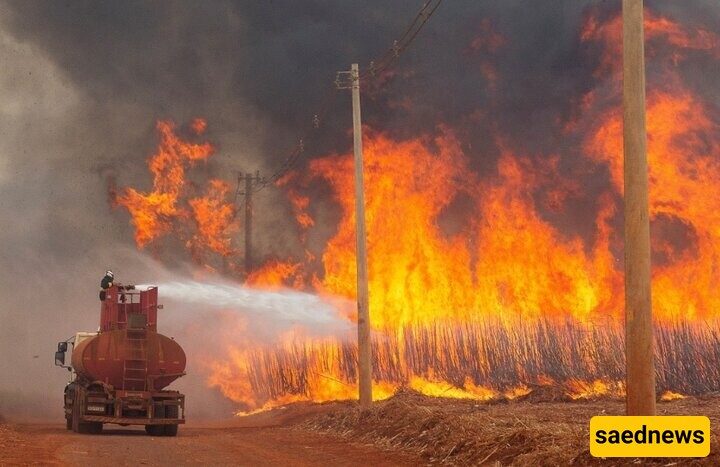 Brazil Investigates Criminal Activity Behind Record Fires in São Paulo