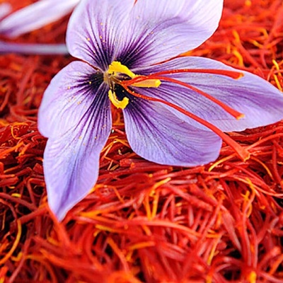 Video | Did You Know Saffron, the Red Gold, Could Help Treat Stress and Parkinson’s?