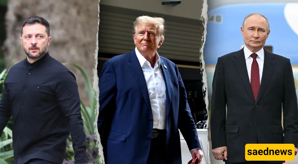 trump putin zelensky