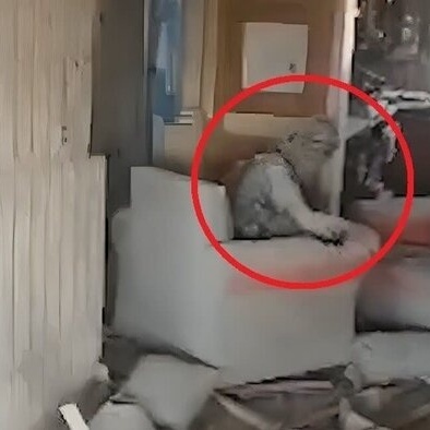 A Look at Yahya Sinwar’s Residence Before and After the Bombing and His Death + Video