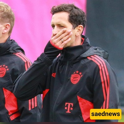 7 Secrets Dino Toppmöller Revealed About His Shocking Bayern Exit