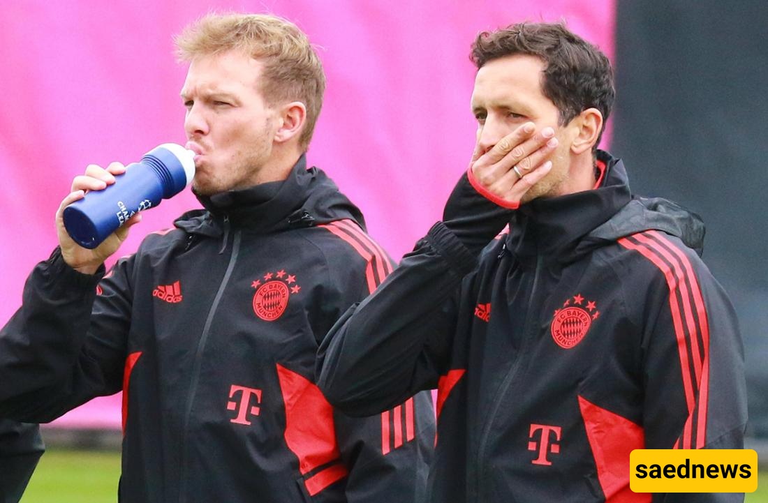 7 Secrets Dino Toppmöller Revealed About His Shocking Bayern Exit