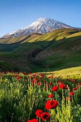 Fashkoor, the Lost Paradise in the Heart of Alborz and an Ideal Destination for Nature Lovers and Peace Seekers
