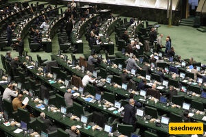 Parliament’s Conditions for Importing Civilian Drones