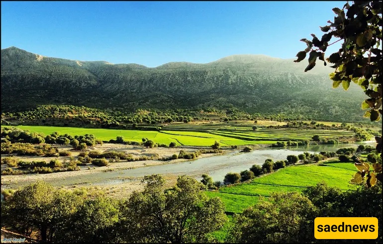 Shiraz Nature