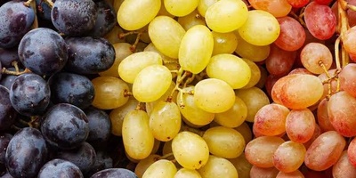 Amazing Benefits of Grapes | Don’t Miss Out on These 8 Health Benefits of Grapes