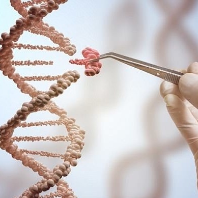 How Much of Success Is Genetic?