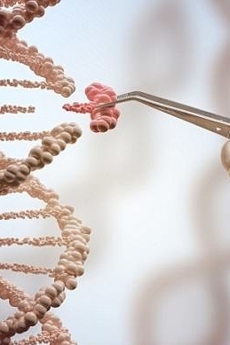 How Much of Success Is Genetic?