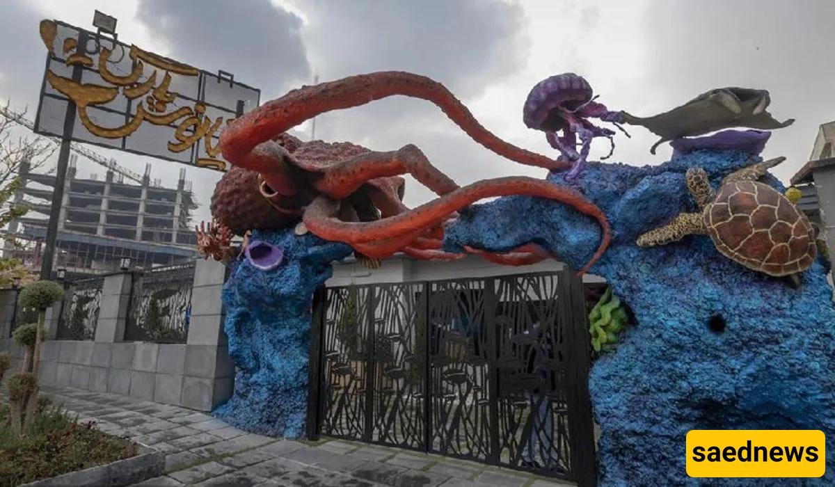 Ocean Park