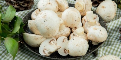 Simple Tricks to Keep Mushrooms Fresh and Prevent Them From Darkening