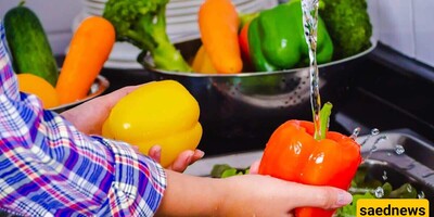 Effective Methods for Washing Fruits and Vegetables to Ensure Maximum Cleanliness and Safety