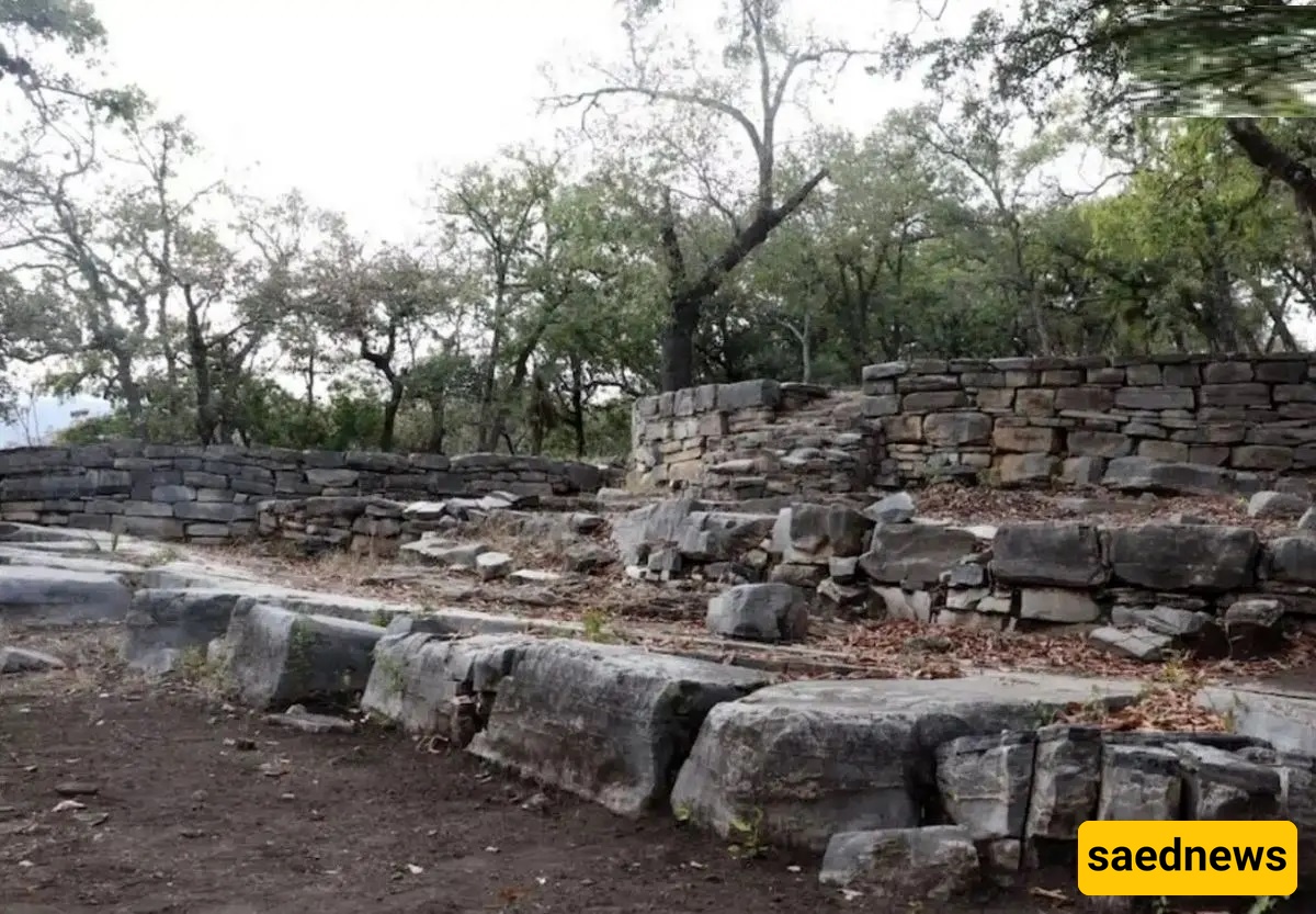1,500-Year-Old ‘Square-Shaped Skull’ Discovered in Mexico: Evidence of Deliberate Skull Modification… + Photos