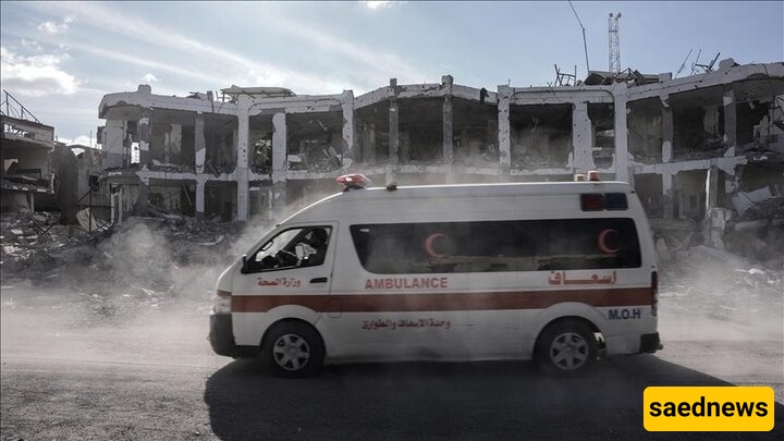 Israeli Army Kills 119 Palestinians in Gaza in Past 24 Hours