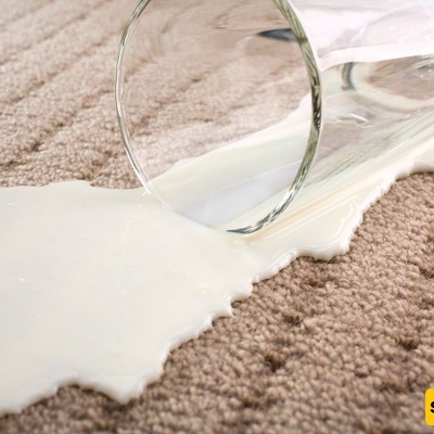 Golden Methods to Remove Milk Stains and Odor from Carpets
