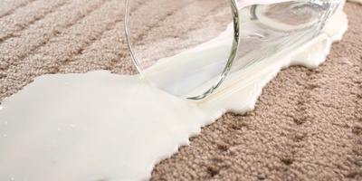 Golden Methods to Remove Milk Stains and Odor from Carpets