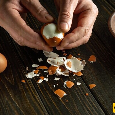 Easiest Ways to Peel Boiled Eggs Without the Hassle