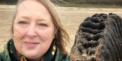 Unexpected Discovery: A 2-Kilogram “Tooth” Found on the Beach + Photo