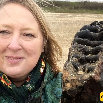 Unexpected Discovery: A 2-Kilogram “Tooth” Found on the Beach + Photo
