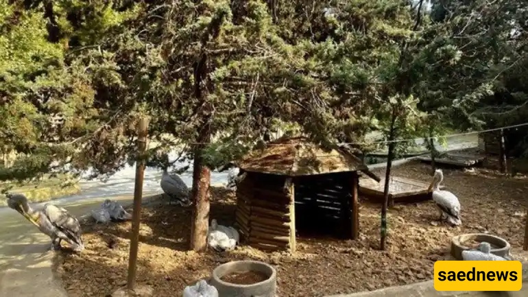  Mashhad Bird Garden