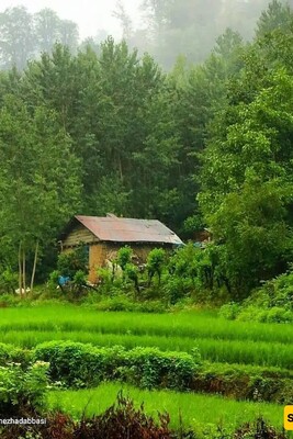 The Hidden Paradise in Northern Iran You Must Visit: Shaft, Gilan