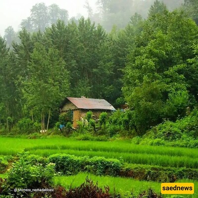 The Hidden Paradise in Northern Iran You Must Visit: Shaft, Gilan