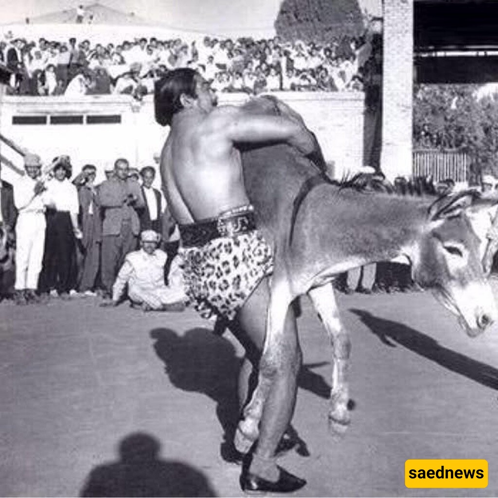 Pahlavan Yadollah Shahin