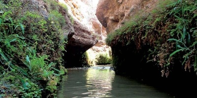 Gahan Gorge: A Four-Season Paradise in the Heart of Qom’s Desert