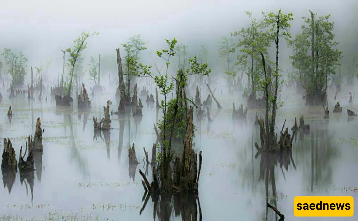 Haunted Lake of Mazandaran