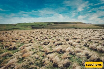 How Did Nature Shape the World’s Great Plains?