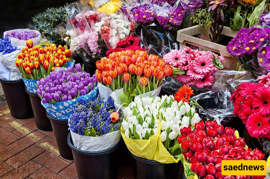 Which Flower is Suitable for Nowruz (Persian New Year)?