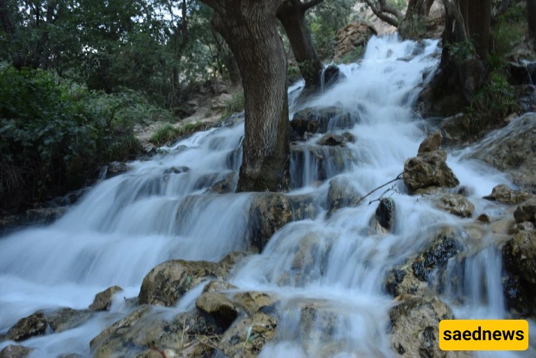 Shiraz Nature