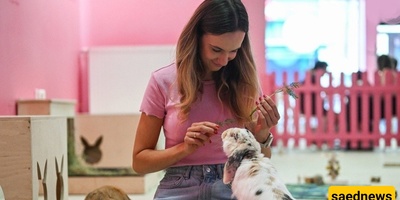 First Rabbit Café Opens Its Doors