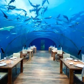 Beneath the Waves: Discover the Maldives’ Extraordinary Underwater Restaurant