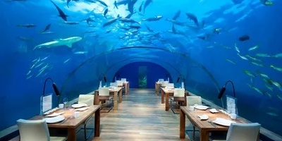 Beneath the Waves: Discover the Maldives’ Extraordinary Underwater Restaurant