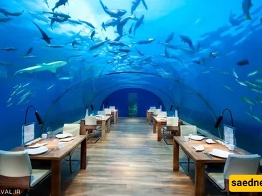 Beneath the Waves: Discover the Maldives’ Extraordinary Underwater Restaurant