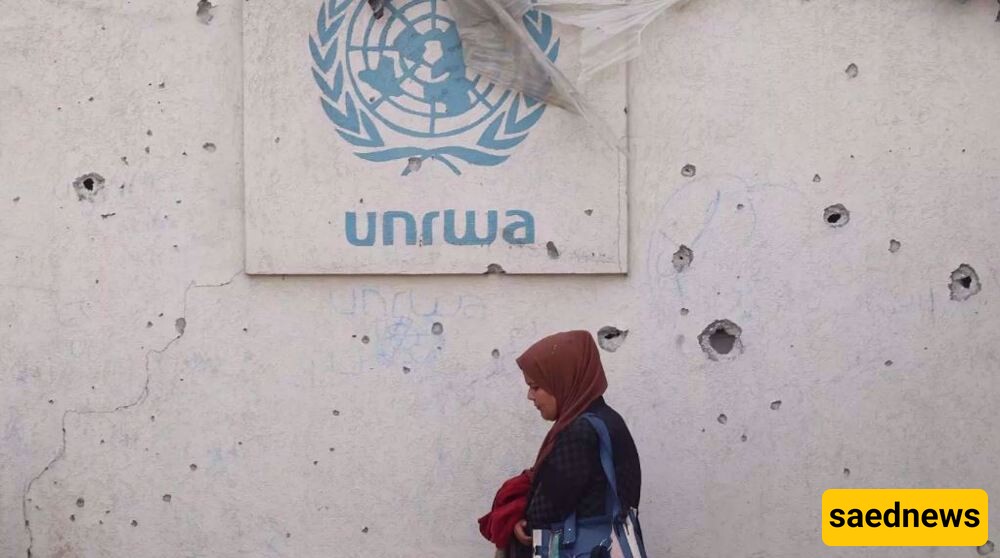 Israel's Digital Disinformation Campaign: Google Ads Target UNRWA