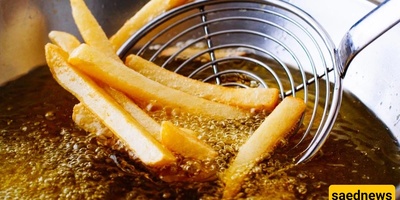 Why Does Oil Absorb Faster In Some Foods? The Secret Behind Better Texture