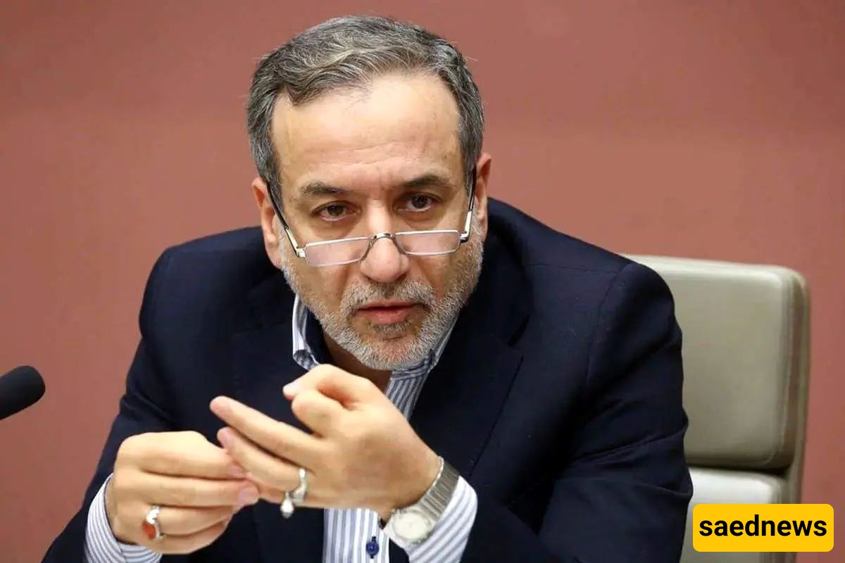 Araghchi: IAEA Inspectors Entered Iran Under Supreme National Security Council for Bushehr Fuel Swap