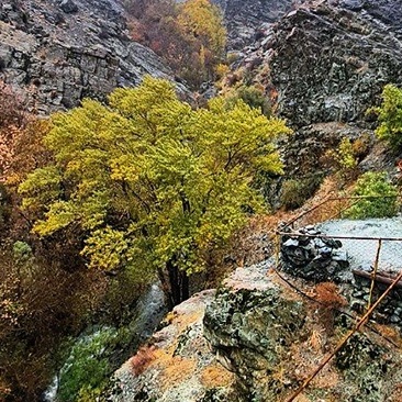 Exploring Darakeh in Tehran and Its Surrounding Attractions