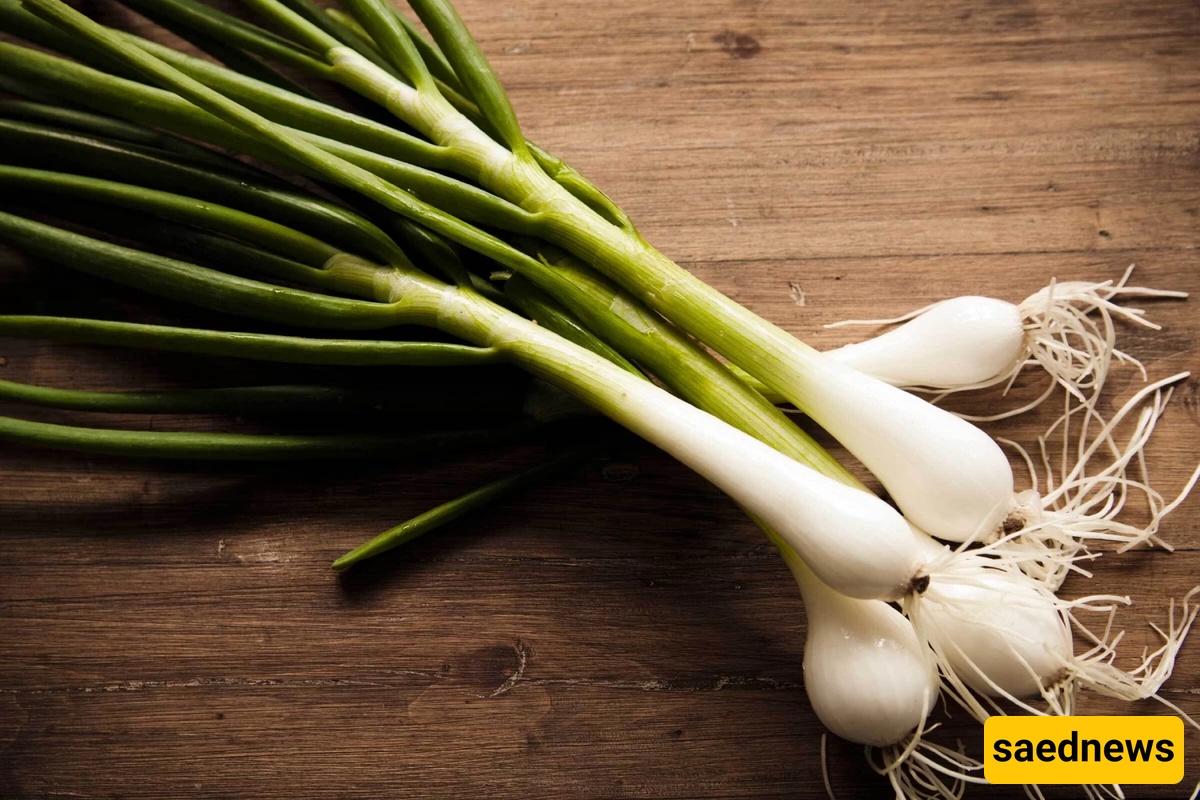 Spring onion