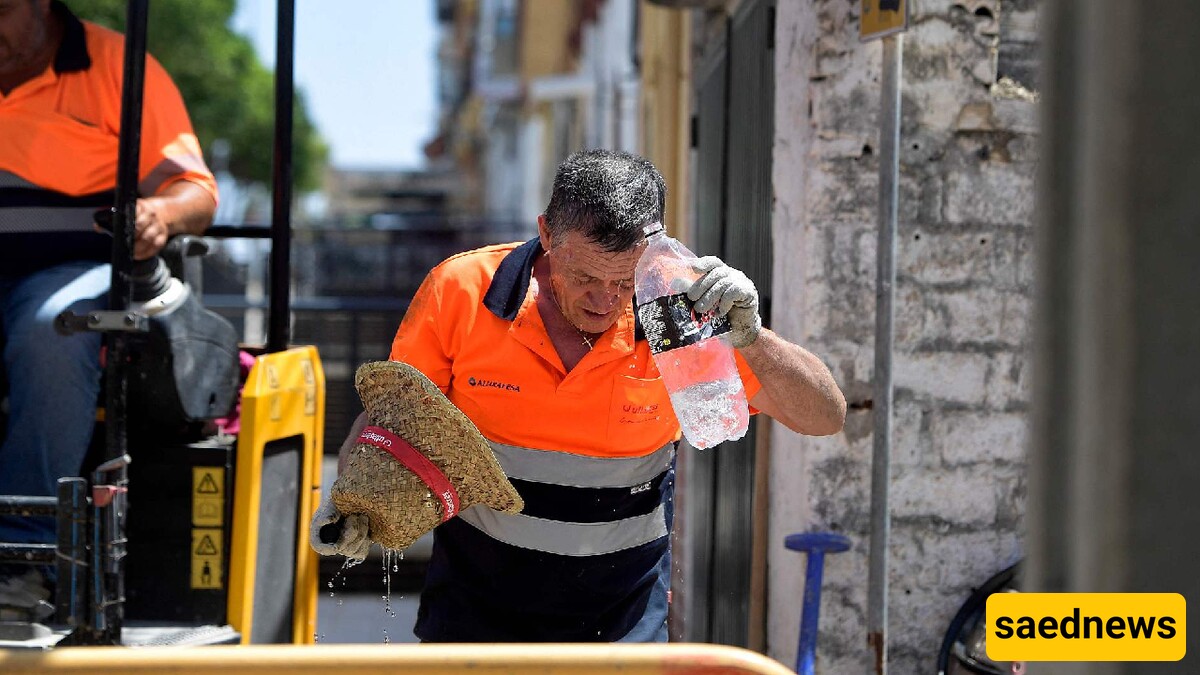 Europe's 2023 Heatwave Killed Nearly 50,000: Study