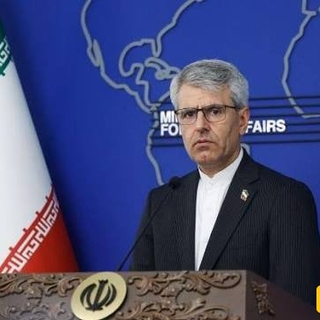 Baghaei: Silence on the Use of Force Undermines the Global Order