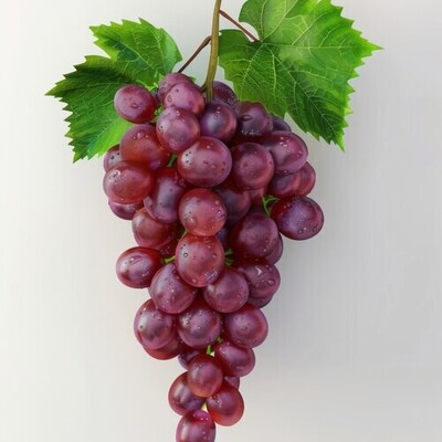 Can the Grape Diet Help with Weight Loss?