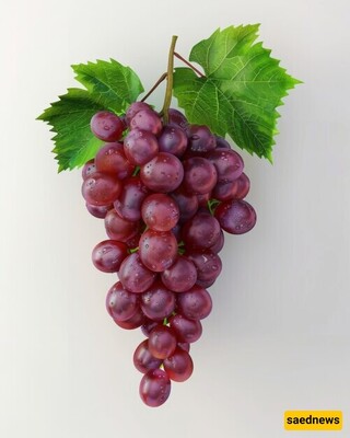 Can the Grape Diet Help with Weight Loss?