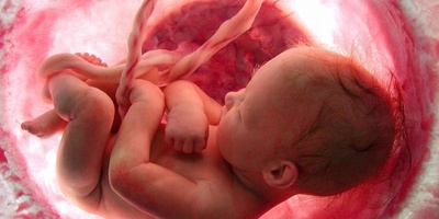 Best Methods for Fetal Growth and Weight Gain During Pregnancy